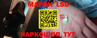 молекула духа Можга