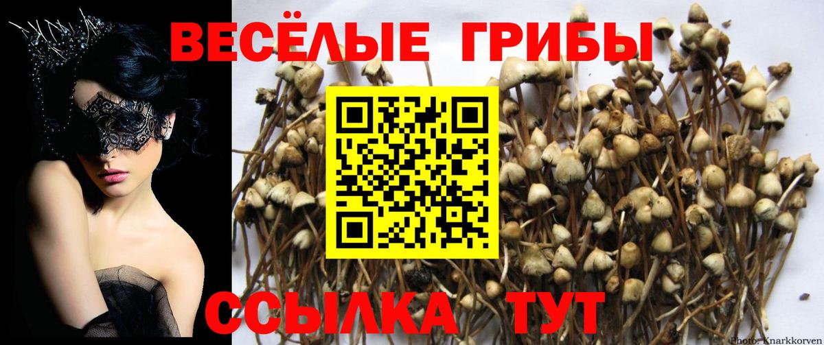 Галлюциногенные грибы MAGIC MUSHROOMS Электрогорск