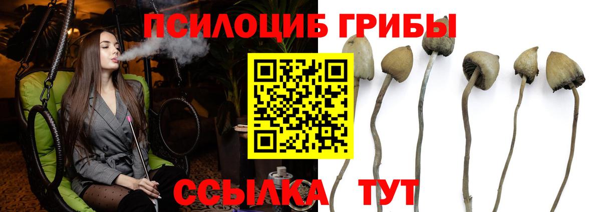 Псилоцибиновые грибы Magic Shrooms  Вход с VPN  Электрогорск 